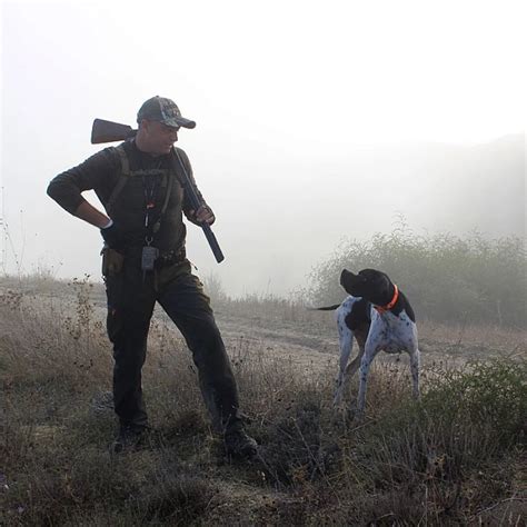 pornos chiens|Un chien veut des caresses et sa maîtresse craque .